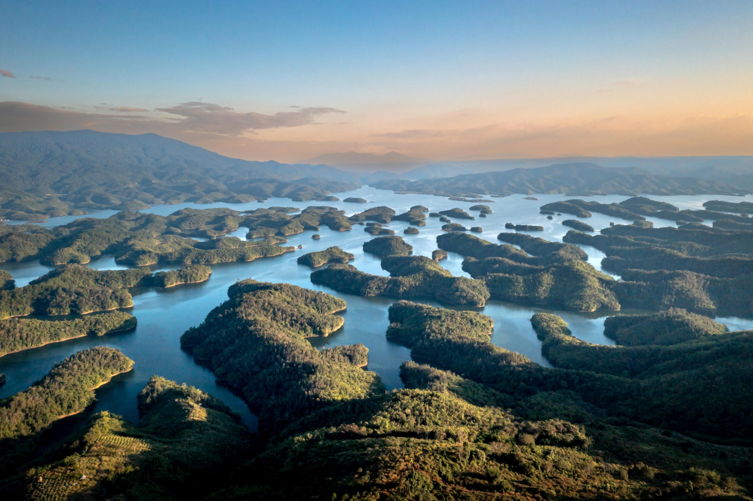 Assam tea gardens beautiful destinations northeast India
